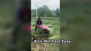 آلة قطع التقطيع